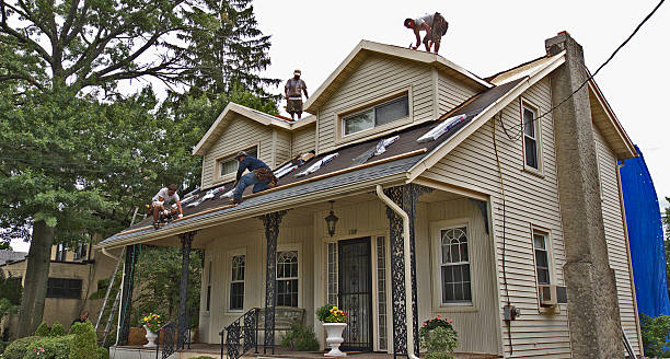 Best Metal Roofing Contractor  in Troy, NC