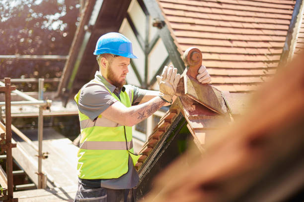 Roof Gutter Cleaning